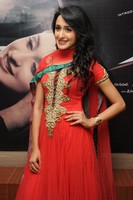 Pragya Photo Gallery